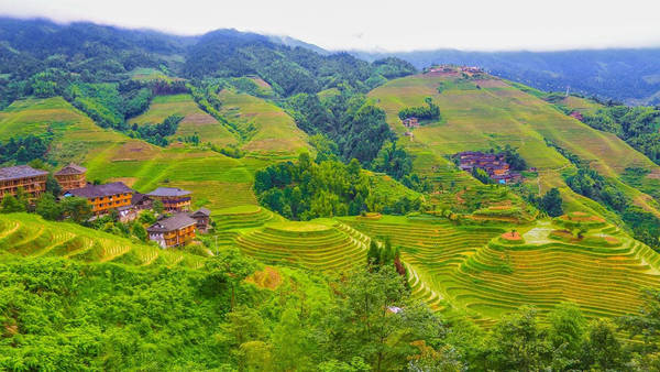 Long Tích được xem là ruộng bậc thang đẹp nhất.