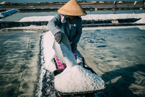 Một ngày lao động của họ bắt đầu từ 4-5h, để phơi cát, làm đất, bơm nước biển lên sân phơi và rắc muối mồi... Buổi chiều, khi muối thành hạt, họ lại mau chóng cào muối, chở về.