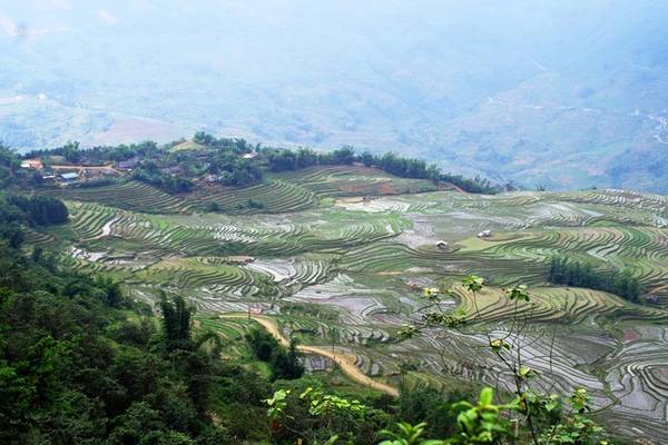 Ruộng bậc thang ở thung lũng Thề Pả có diện tích 233 ha thuộc hai xã Y Tý và Ngải Thầu là công trình sáng tạo của đồng bào dân tộc H'Mông và Hà Nhì nơi đây. Hiện nay ruộng bậc thang thung lũng Thề Pả không chỉ là tài sản, phương tiện canh tác của dân địa phương mà còn là danh thắng quốc gia, được nhiều du khách tìm đến chiêm ngưỡng. Mùa nước đổ tháng 4, 5 và mùa lúa chín tháng 9, 10 là hai thời điểm thích hợp nhất để đến đây. Ảnh: Hương Chi.