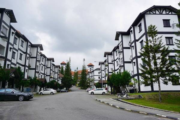 Tôi đến Cameron Highlands bằng xe buýt từ Penang. Thời gian di chuyển khoảng 4 tiếng. Vừa đến nơi, tôi ngỡ ngàng vì phong cảnh vùng cao nguyên này quá tuyệt vời. 