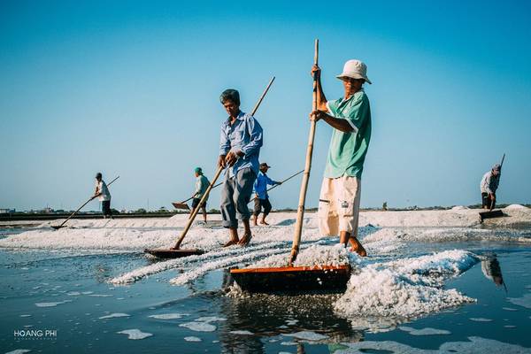 canh-dong-muoi-ba-ria-vung-tau-ngay-nNghề muối vất vả là thế, nhưng ngày nào cũng vậy, khi bình minh lên, những người dân nơi đây lại ra ruộng làm việc.ang-gat-ivivu-8