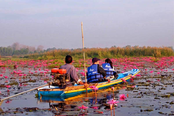 Hãy thuê một chiếc thuyền đi trên hồ để tận hưởng hết vẻ đẹp của nơi đây.