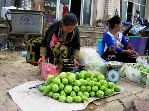 Những sơn nữ bản địa ngày ngày gùi su su quả xuống bán tại chợ phiên - Ảnh: N.T.LƯỢNG