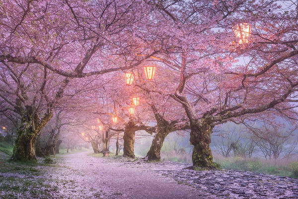 Ngày mưa ở Osaka: Cho dù ngày nắng chói chang hay đổ mưa thì bạn cũng sẽ chẳng bao giờ thấy Osaka nhàm chán. Thành phố này thuộc vùng đô thị lớn thứ hai của Nhật Bản sau Tokyo và cũng được biết đến với kiến trúc nổi bật, cuộc sống về đêm ồn ào, thức ăn đường phố tuyệt vời, và tất nhiên không thể bỏ qua lâu đài Osaka. Nếu thời tiết xấu thì đừng lo lắng vì ở giữa khu mua sắm chính của thành phố là Shinsaibashi-suji, một đường phố mua sắm rộng lớn, nơi bạn có thể dễ dàng dành một vài giờ tham quan, thay vì phải ngồi không chờ tạnh mưa.