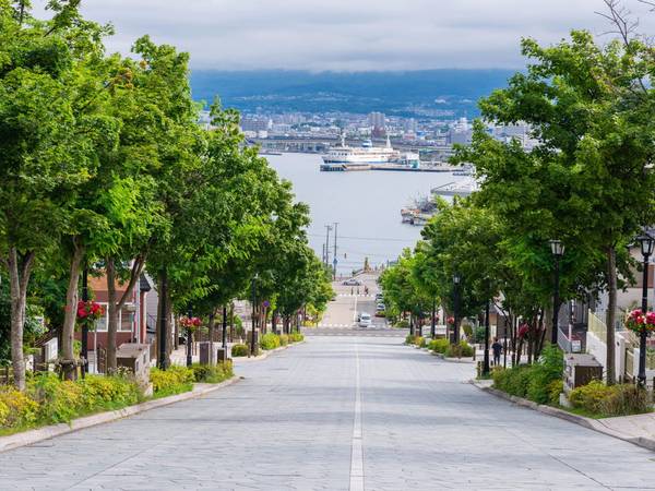 Đảo Hokkaido (Nhật Bản). Ảnh: Shutterstock/NorGal