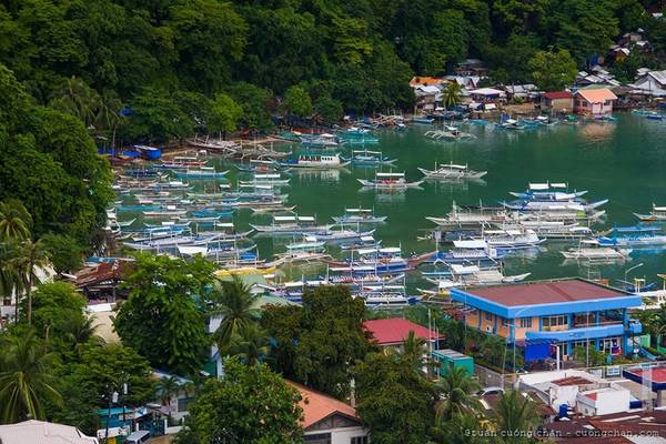  Ngày 4: Đi biển Nacpan, zipline và cầu treo. Ngày 5: Về lại thành phố Puerto Princesa. Nếu thích, bạn có thể ở lại chơi ở đây 1 ngày, còn nếu không thì bay trở về Việt Nam.