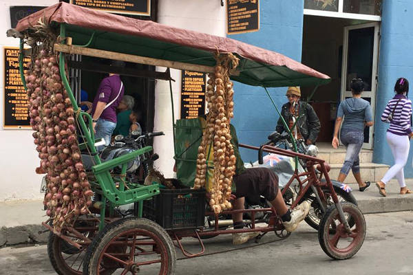 Xe bán hàng rong, bán các loại củ quả hành tỏi khô trong khu dân cư....