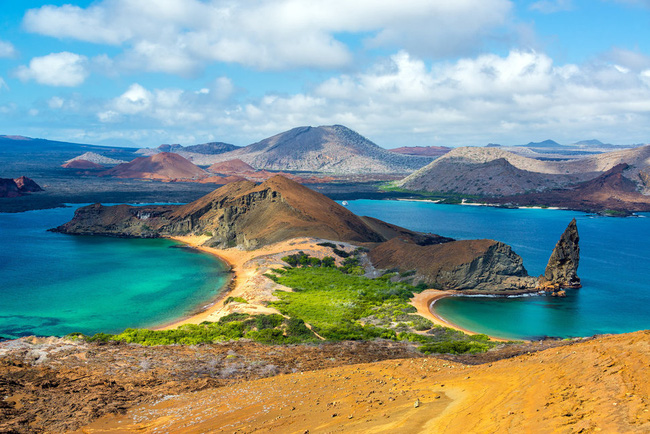 Đảo Bartomole trong quần đảo Galapagos của Ecuador’s. Các loài đặc hữu trên quần đảo núi lửa này được cho là đã tạo cảm hứng cho Thuyết tiến hóa của Charles Darwin.