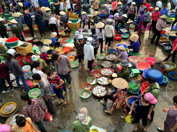 Sắc màu chợ cá - Ảnh: Thủy Trần