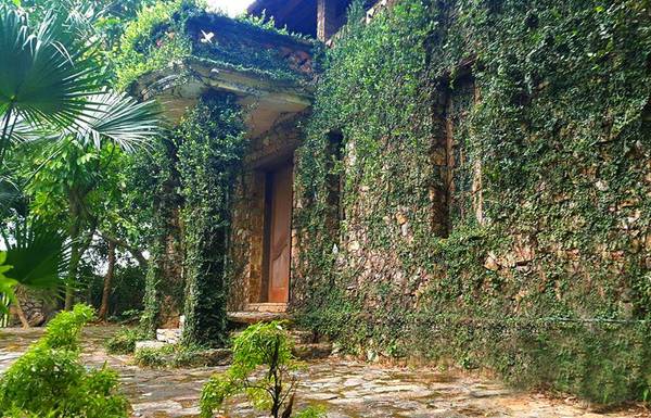 Jungle-house-bac-ninh-ivivu-1