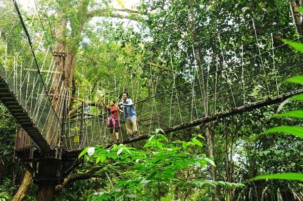 Công viên Quốc gia Penang với khuôn viên rộng hơn 2.500 ha sẽ làm bạn “lạc lối” trong thế giới xanh ngắt của gần 50 loài chim, thỏa sức tận hưởng không khí mát lành của rừng mưa nhiệt đời.