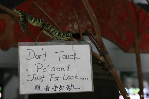 Trong đền có những tấm biển ghi chú nhằm cảnh báo du khách không được động, chạm vào rắn độc mà chỉ nên chiêm ngưỡng. Tuy vậy, cũng có không ít vị khách bạo gan đã chạm tay vào những con vật này. Bạn cũng có thể chụp ảnh với một con rắn quấn quanh cổ, giá một lần chụp là 30 RM (150.000 đồng), theo Penang-vacations.