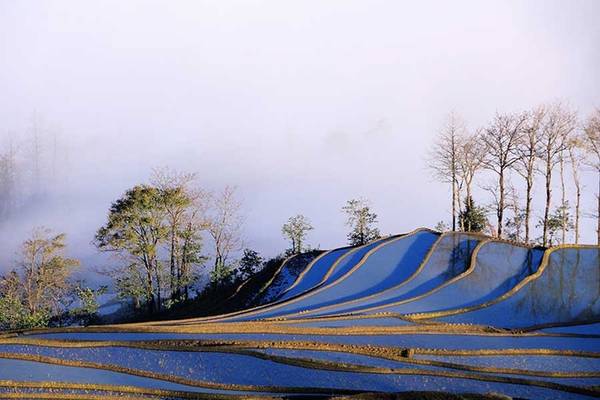 Phong cảnh núi đồi và những thửa ruộng có sự thay đổi tùy vào từng mùa trong năm. Hiện tại là mùa xuân, cây cối bắt đầu xanh tươi trở lại là thời điểm thích hợp để tham quan Nguyên Dương.