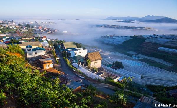 Một góc làng hoa Thái Phiên, một trong ba làng hoa lớn nhất của Đà Lạt.