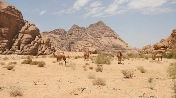 Sa mạc Wadi Rum, Jordan