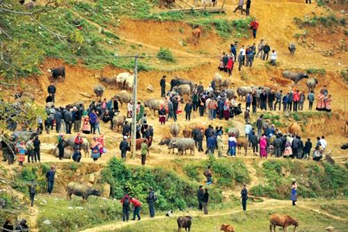  Trâu là mặt hàng mua bán xa xỉ nhất của chợ phiên