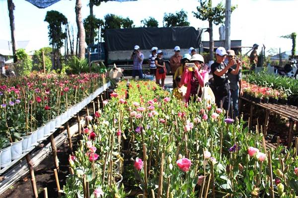 Các chủ vườn luôn sẵn sàng tạo điều kiện để du khách vào chụp hình, thưởng lãm hoa. Ngoài tham quan, nhiều du khách cũng tranh thủ mua hoa mang về.