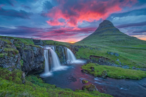 Không có muỗi ở Iceland.