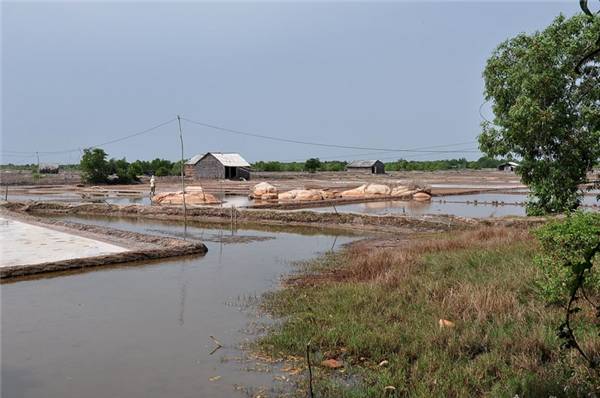 bat-mi-duong-tat-den-dao-long-son-di-qua-ruong-muoi-cuc-thu-vi-ivivu-5