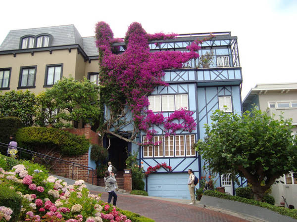 Một căn nhà xinh xắn trên đường Lombard Street - Ảnh: flickr