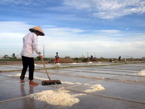 Những cánh đồng muối mặn mòi nối nhau thẳng tắp.