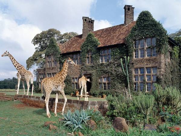 Giraffe Manor, Nairobi, Kenya