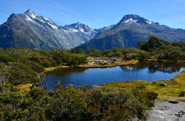 Hồ nhỏ ở đỉnh Key trên "con đường hạnh phúc" Routeburn Track - Ảnh: doc.govt.nz