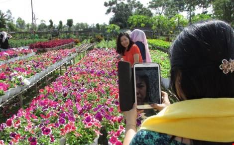 Một nhóm du khách nữ từ Sài Gòn xuống vừa ngắm hoa, chụp ảnh và "rinh" những giỏ hoa đẹp về nhà. Ảnh: N.NAM