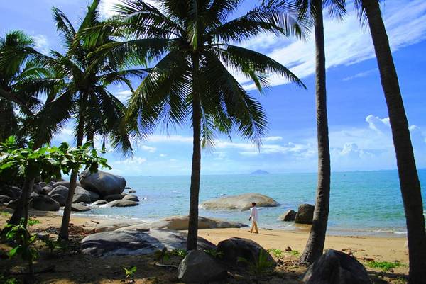 Quanh đảo được bao phủ bằng những rặng dừa xanh ngút ngàn, cảnh sắc êm đềm, thơ mộng. Ảnh: Phong Vũ Nam Du