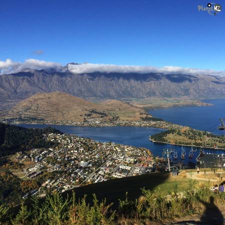 20. New Zealand sẽ mang lại cho bạn một kỳ nghỉ đáng nhớ, bởi những điều bất ngờ đáng yêu mà nó mang đến. (Ảnh planitnz)