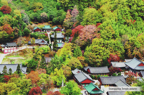 Chùa nghìn tuổi Ssanggye nằm giữa rừng cây ngũ sắc. Vào mùa thu, khung cảnh nơi đây đẹp như một bức tranh với nhiều gam màu rực rỡ.