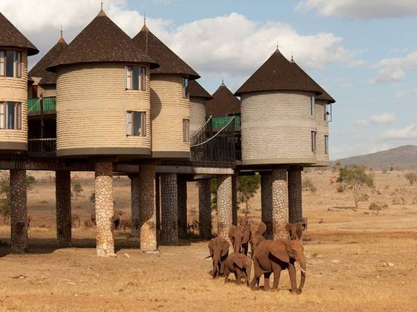 Sarova Salt Lick Game Lodge, Tsavo, Kenya