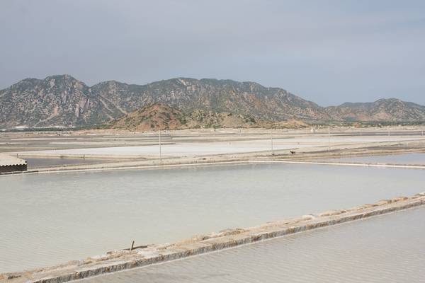 Cánh đồng muối ở Phan Rang. Ảnh: San San