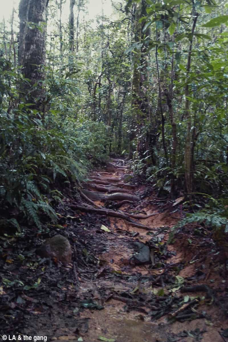 trekking langbiang-kinh nghiệm