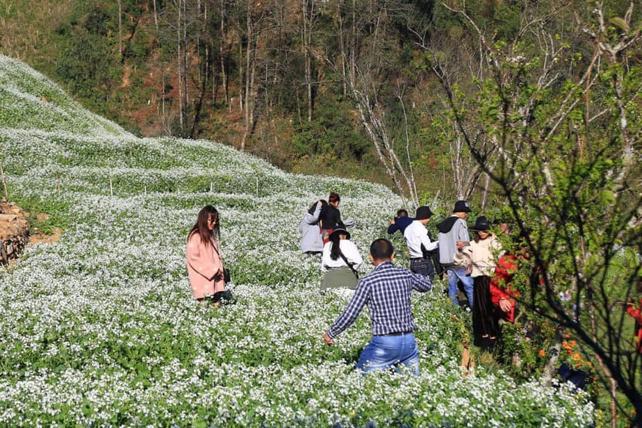 lac-buoc-than-tien-dong-suoi-hoa-cai-trang-dep-nhu-mo-o-sapa-9