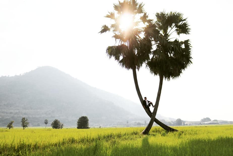 trai-tay-ninh-chinh-goc-chia-se-7-diem-must-try-cho-dan-nhap-mon-song-ao/