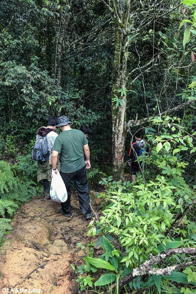 trekking langbiang-kinh nghiệm