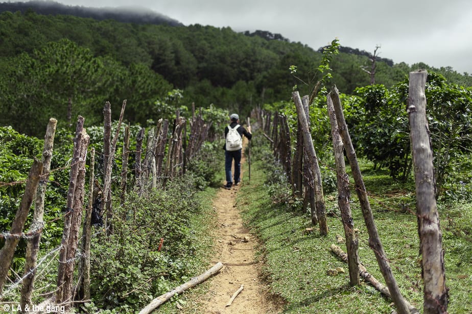 trekking langbiang-kinh nghiệm