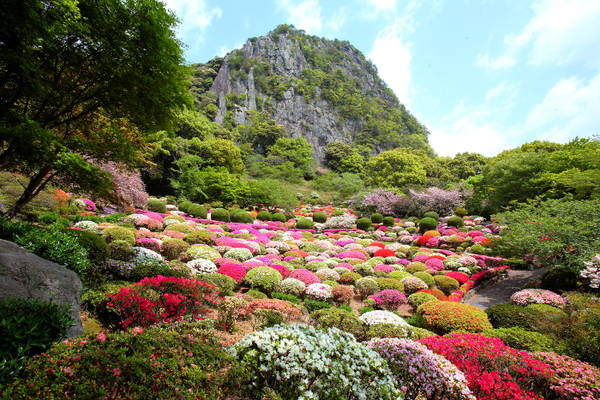 Tất cả các nơi trong tỉnh Saga đều tràn ngập cây cỏ nên tùy theo mùa mà có những vẻ đẹp khác nhau. Ảnh: japan-articles.japanican.com