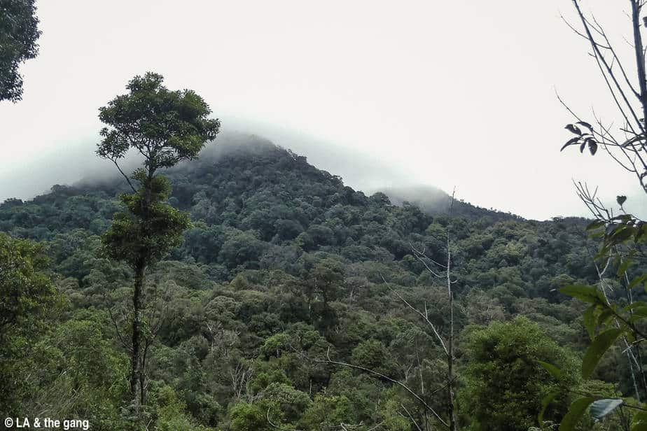 trekking langbiang-kinh nghiệm