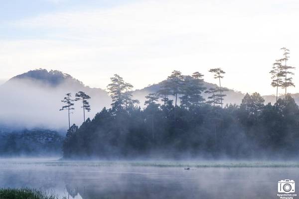 Mây, nước, rừng, núi hòa quyện, tạo nên một không gian yên bình.