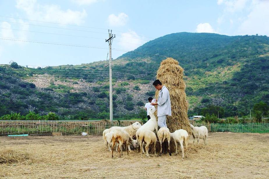 trai-tay-ninh-chinh-goc-chia-se-7-diem-must-try-cho-dan-nhap-mon-song-ao/