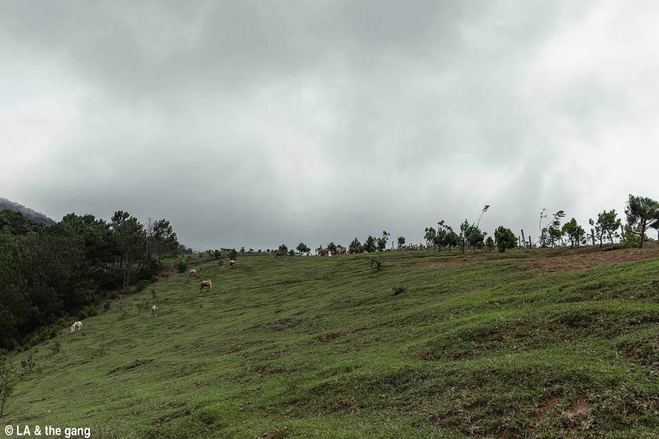 trekking langbiang-kinh nghiệm