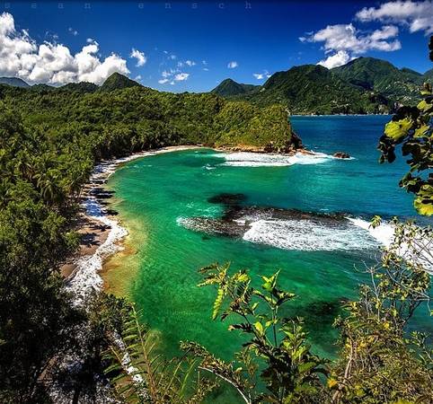 Ảnh chụp trong chuyến du lịch của Ensch tới Dominica ở vùng biển Caribbe.