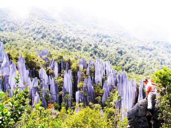  Unesco đã công nhận Vườn quốc gia Gunung Mulu của Malaysia là Di sản thiên nhiên thế giới năm 2000. Ảnh: wordpress.