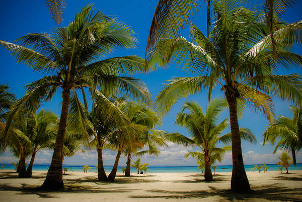Bãi biển xinh đẹp ở Cebu. Ảnh: Kamalayan