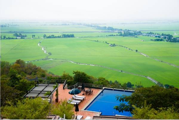 Hồ bơi ngoài trời nhìn ra cánh đồng lúa mướt tầm mắt tại Victoria Núi Sam Lodge. Ảnh: victoriahotels.asia