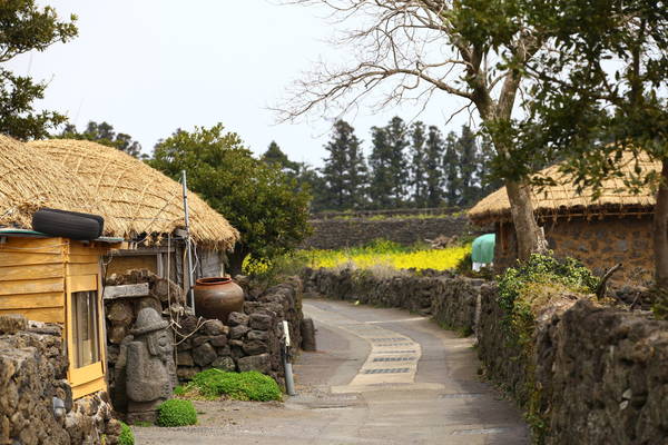 Làng dân tộc Jeju Folk: Làng dân tộc Jeju Folk là ngôi làng truyền thống Hàn Quốc nằm dưới chân núi Hallasan và được bảo tồn gần như nguyên vẹn. Những ngôi nhà ở đây được xây dựng từ đá nham thạch núi lửa, mái nhà được lợp bằng cỏ tranh, tới đây du khách còn có thế thấy được những con đường mòn từ thời xưa, tạo cho bạn cảm giác như đang quay ngược về lịch sử. Ảnh: iamyourguide