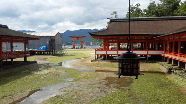 Cổng nổi Torii nhìn từ bên trong đền Itsukushima. Cổng Torii cao 16m, được làm bằng gỗ, được sơn màu đỏ cam, màu truyền thống của những cổng đền ở Nhật Bản