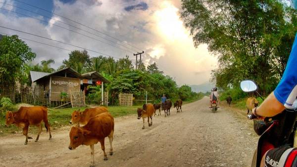 Vang Vieng ngày nay là một thị trấn của du khách ba lô, từ châu Âu đến châu Á, bất kể du khách nào khi đến với đất nước Triệu Voi đều ghé qua thị trấn này trong vài ngày để thư giãn và vui chơi giải trí. Ảnh: Marcaux